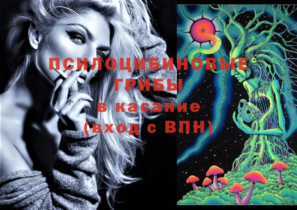 трава Алзамай