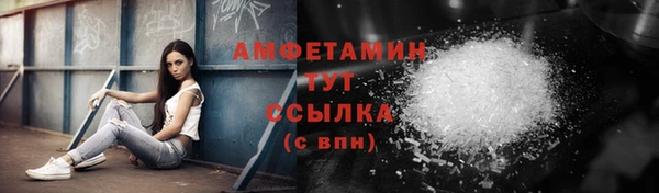 гашик Алексеевка