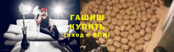 гашик Алексеевка