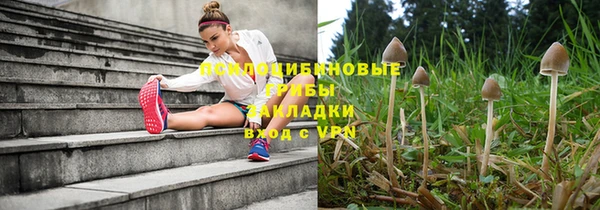 мескалин Арсеньев