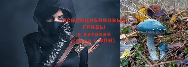 трава Алзамай