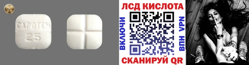 что такое   Бологое  LSD-25 экстази кислота 